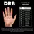 Guante Arquero Feline EVO Jr | DRB® - tienda online