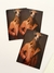 PACK x8 CARTON ANIMALS CD840 - comprar online