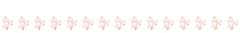 Banner da categoria Pulseiras de pedras naturais