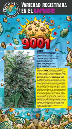 SEMILLAS 9001 THC x3