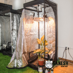 Imagen de Carpa Indoor BellaVita