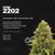 CRIAR 2202 - SOUR DIESEL CBD X SOUR DIESEL CBD - comprar online
