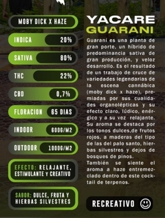 GUARANI SEMILLAS X4 - comprar online