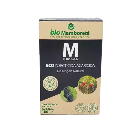 MAMBORETA M