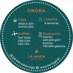 LA MAGA SEMA MIX ONORA - SANTANESIA - MATRONA 9 UNID (3 DE CADA UNA) - Ganesh Grow Shop