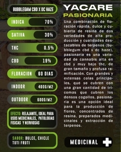 ESQUEJE VARIAS GENETICAS - Ganesh Grow Shop