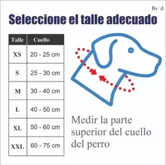 Tabla de talles para collares de perros, indicando medidas del cuello en centímetros y cómo medirlo correctamente.
