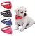 Collar para perros chicos con pañuelo en varios colores, mostrando un cachorro blanco con pañuelo rojo y collares negro, azul y rojo.