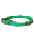 Collar de silicona hipoalergénico para perro en color verde, de 30x1 cm, con detalles metálicos.