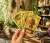 Tarot Rider Gold Cartas Doradas Iluminarte + Manual Impreso - comprar online