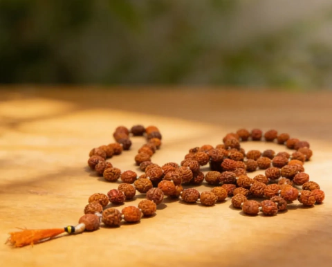 Japa Mala Rudraksha Rosario 108 Cuentas