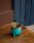 MATE PAMPA | TURQUESA en internet