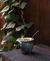 MATE PAMPA | VERDE OLIVA - comprar online