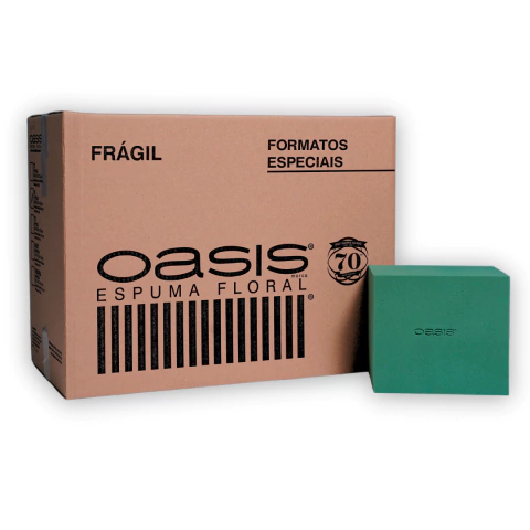 Espuma Floral T4 - caixa com 12 peças - comprar online