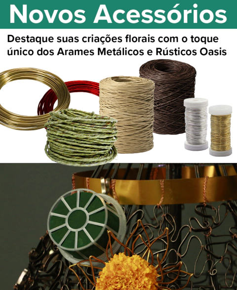 Carrossel 1