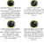 Imagen de RELOJ INTELIGENTE INSTINCT 2 GARMIN