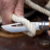 Imagen de CORTAPLUMA OUTDOOR SPORTS Nº 8 OPINEL