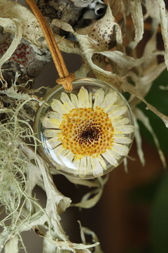 Colar Margarida Girassol (2,5 cm)