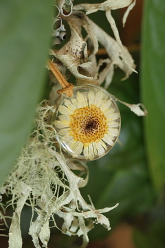Colar Margarida Girassol (2,5 cm) - comprar online