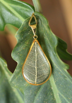 Colar Nervuras (Banhado à ouro)