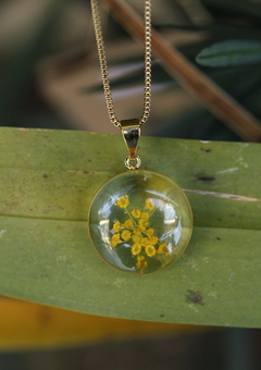 Colar Flor de Erva Doce Amarela (Banhado à ouro) - comprar online