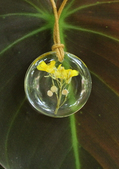 Colar Flor e grão de Mostarda (redondo) na internet