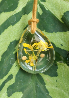 Colar Flor e grão de Mostarda - comprar online