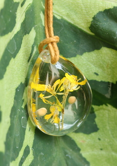 Colar Flor e grão de Mostarda na internet
