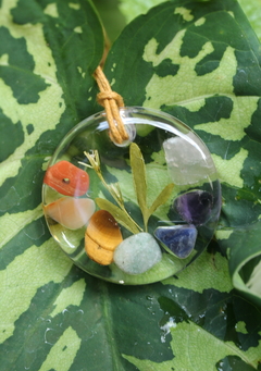 Colar Arruda + Guiné + pedras dos 7 chakras (3,5 cm) na internet