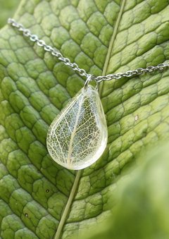 Colar Nervuras Transparente - Corrente 45 cm - comprar online