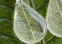 Brinco Nervuras transparente (gota) - comprar online