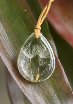 Colar Dente de Leão Transparente duplo_Gota - Joias Botânicas - Plantas transformadas em colares e brincos - Amana Ateliê