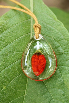 Colar Mini Pimenta - comprar online