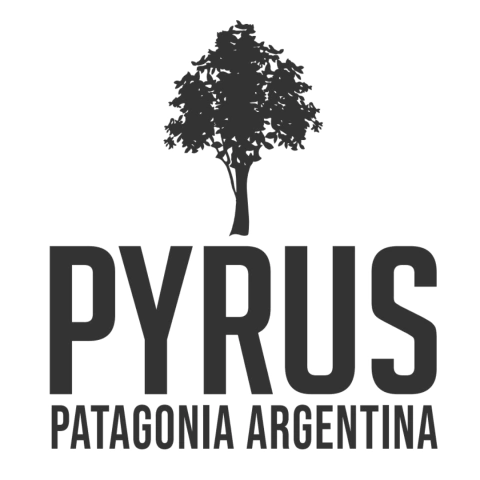 Pyrus