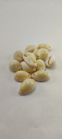 Buzio con 2 agujeros amarillo x 25 piezas.