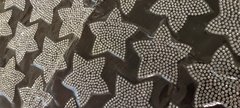 Aplique hotfix con strass vidrio estrella x 10 piezas!