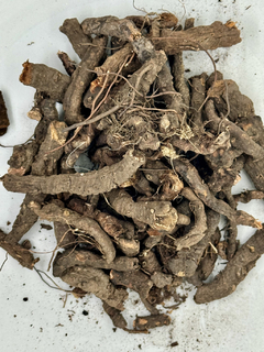 Angelica raiz x 1/2 kg