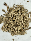 Pulmonaria x 1 kg - comprar online