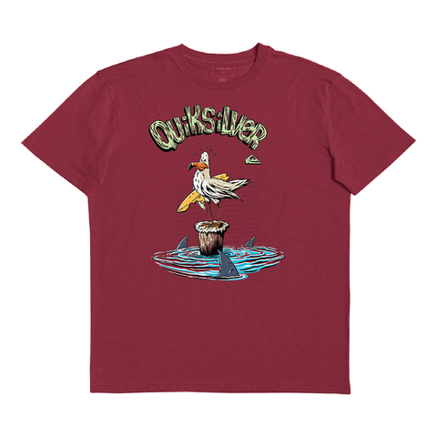 Remera Niño MC Seagull - QUIKSILVER