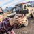 Red Dot Defender CCW (6 MOA) - Vortex Optics na internet