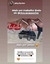 Imagem do Chaveiro Artesanal Volkswagen Gol G4