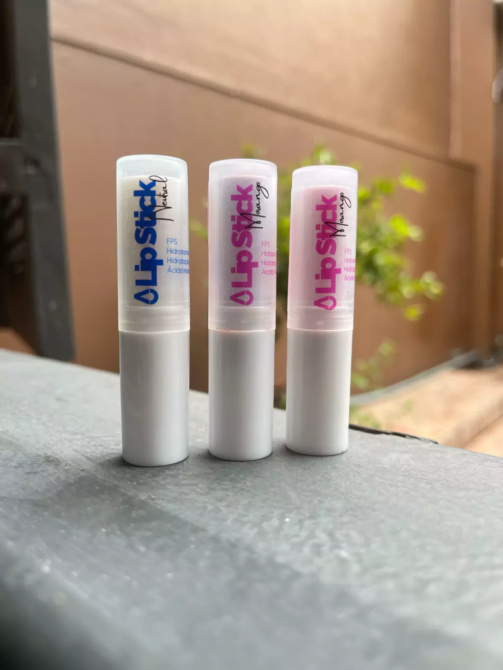 Hidratante Labial 4g