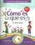 ¿COMO ES, QUE ES?