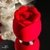 SUGADOR FLOWER SUPER LUXO (649) - comprar online