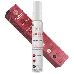 ORALE GEL BEIJÁVEL 30ML SANTO (718-719-720-721-722-723-724-725) - loja online