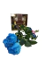 Mimo Doce (Ver. 3) - comprar online