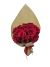 Rosas Presente - comprar online