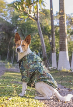 Jaqueta Corta-Vento Impermeável Camuflada na internet