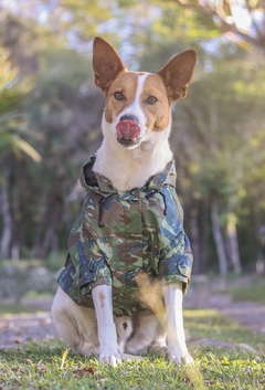 Jaqueta Corta-Vento Impermeável Camuflada