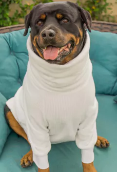 Suéter Canelado Off White - comprar online